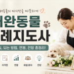 애완동물 장례지도사 썸네일