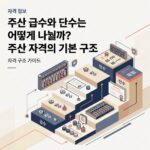 ai thumbnail branding 주산 급수와 단수는 어떻게 나뉠까 주산 자격의 기본 구조 1789743977